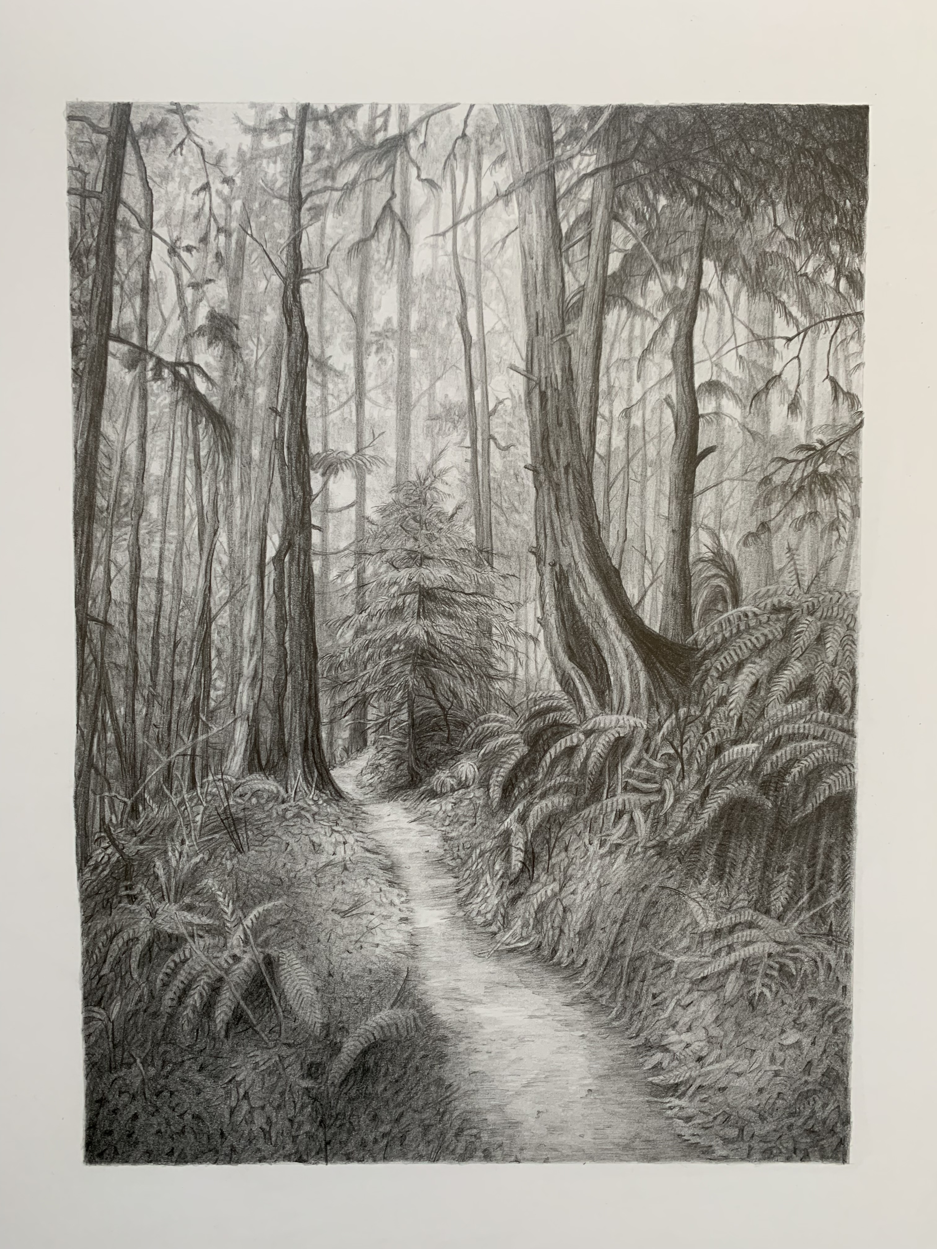 path 4