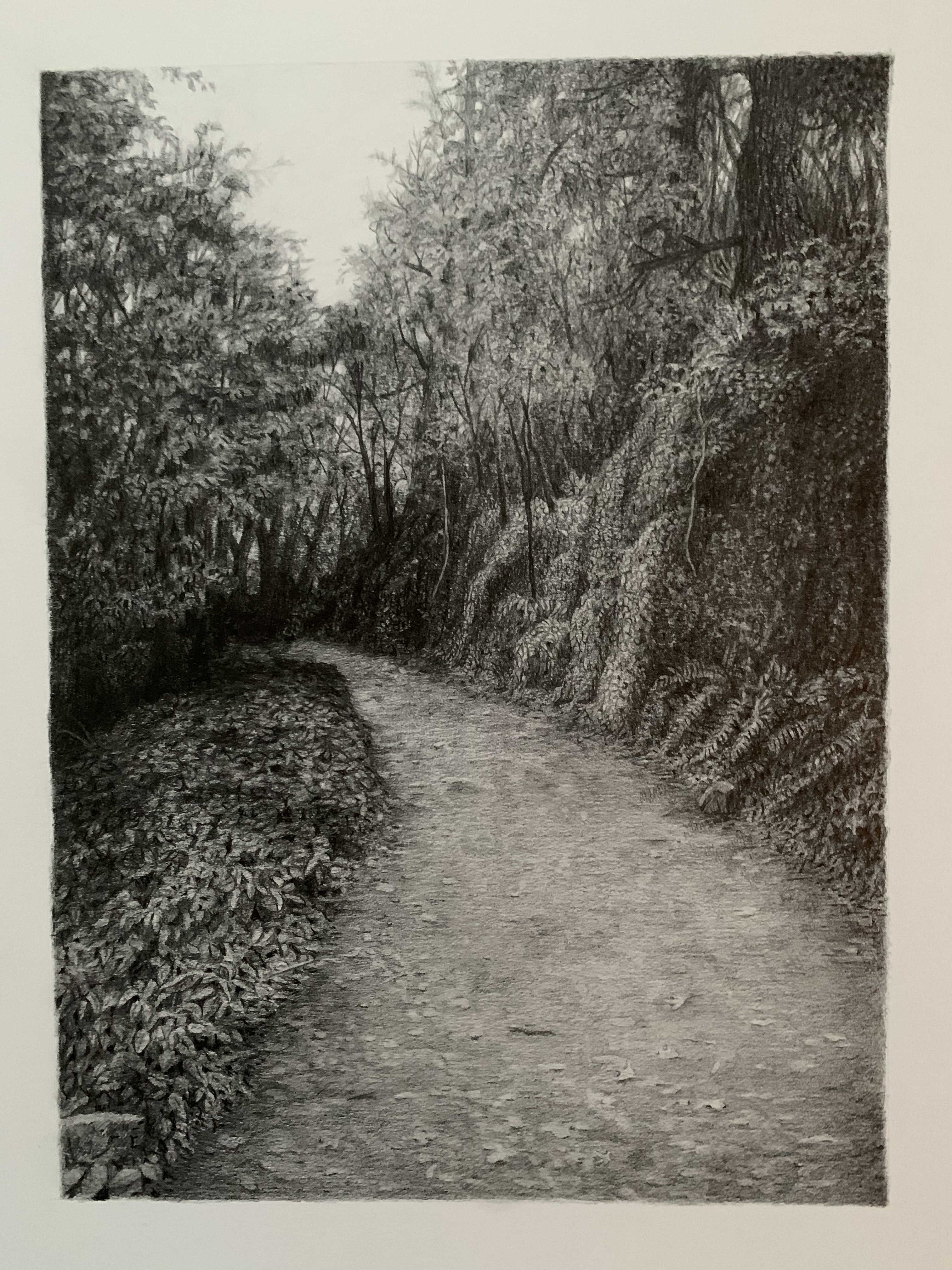 path 6